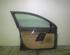 Door OPEL SIGNUM CC (Z03)