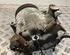 Air Conditioning Compressor SEAT IBIZA III (6L1)