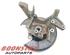 Stub Axle FORD Kuga I (--), FORD Kuga II (DM2)