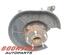 Stub Axle FORD Kuga I (--), FORD Kuga II (DM2)