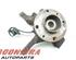 Stub Axle DACIA SANDERO, DACIA SANDERO II