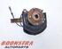 Stub Axle NISSAN QASHQAI / QASHQAI +2 I (J10, NJ10, JJ10E)