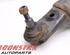 Track Control Arm VW AMAROK (2HA, 2HB, S1B, S6B, S7A, S7B)