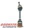 Drive Shaft AUDI A5 Sportback (8TA), AUDI A4 Avant (8K5, B8)