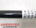 Drive Shaft BMW 3 (G20, G80)