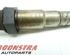 Lambda Sensor / NOx Sensor MERCEDES-BENZ S-Klasse (W221)