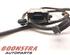 P21039204 NOx Sensor FORD Transit V363 Kasten (FCD, FDD) 2531168