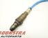 Lambdasonde / NOx Sensor RENAULT MEGANE IV Hatchback (B9A/M/N_)