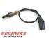 Lambda Sensor / NOx Sensor AUDI A4 Avant (8K5, B8), AUDI A5 Sportback (8TA)