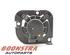 Nebelscheinwerfer links vorne Fiat 500 312 51822889 P17746881