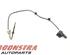 Temperature Sensor OPEL ZAFIRA TOURER C (P12)