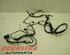 Wiring Harness RENAULT Captur I (H5, J5), RENAULT Clio IV (BH)