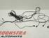 Wiring Harness AUDI A4 Cabriolet (8H7, 8HE, B6, B7)