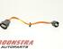 Wiring Harness TESLA Model X (--), TESLA Model X (5YJX)