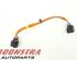 Wiring Harness TESLA Model X (--), TESLA Model X (5YJX)