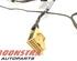 Wiring Harness AUDI A5 Sportback (8TA), AUDI A4 Avant (8K5, B8)