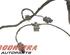 Wiring Harness AUDI A5 Sportback (8TA), AUDI A4 Avant (8K5, B8)