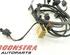 Wiring Harness AUDI A4 Avant (8K5, B8), AUDI A5 Sportback (8TA)