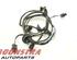 Wiring Harness AUDI A4 Avant (8K5, B8), AUDI A5 Sportback (8TA)