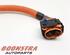 Wiring Harness RENAULT Zoe (BFM)