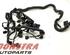 Wiring Harness VW Polo (6C1, 6R1)