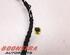 Wiring Harness VW Tiguan (AD1, AX1)