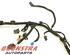 Wiring Harness PEUGEOT 5008 II (M4, MC, MJ, MR)