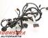 Wiring Harness TESLA MODEL X (5YJX)