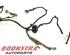 Wiring Harness VOLVO S60 III (224)