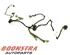 Wiring Harness VOLVO S60 III (224)