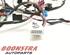 Wiring Harness BMW iX3 (G08)