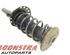 Suspension Strut VOLVO V60 I (155, 157)