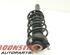 Suspension Strut VW Golf VI Variant (AJ5)