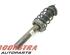 Suspension Strut VW Golf VI Variant (AJ5)