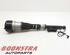 Suspension Strut MERCEDES-BENZ S-Klasse (W221)