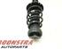 Suspension Strut OPEL Zafira Tourer C (P12)