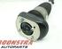 Suspension Strut BMW 5er Touring (G31)