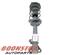 Suspension Strut MERCEDES-BENZ C-Klasse (W204)