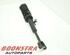 Suspension Strut BMW 5er (F10)