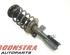 Suspension Strut FORD Mondeo V Schrägheck (--)