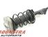 Suspension Strut MERCEDES-BENZ E-Klasse (W212)