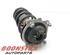 Suspension Strut AUDI A6 Allroad (4GH, 4GJ), AUDI A6 Avant (4G5, 4GD)