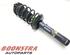 Suspension Strut VW Passat Alltrack (365), VW Passat Variant (365)