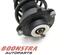 Suspension Strut VW Passat Alltrack (365), VW Passat Variant (365)