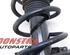 Suspension Strut KIA Picanto (TA)