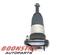 Suspension Strut BMW 5er Touring (G31)