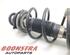 Suspension Strut FIAT 500 (312), FIAT 500 C (312)