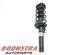 Suspension Strut AUDI A3 (8P1), AUDI A3 Sportback (8PA)