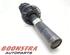 Suspension Strut AUDI A3 (8P1), AUDI A3 Sportback (8PA)