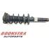 Suspension Strut AUDI A3 (8P1), AUDI A3 Sportback (8PA)